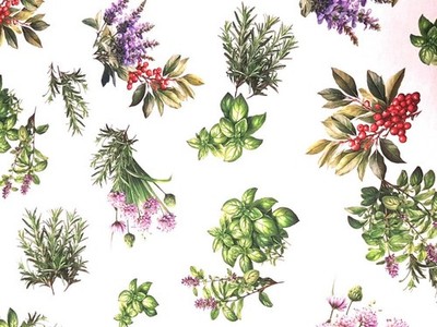 Fabric by the meter and tablecloths | Fancy Aromatic Herbs| MADE IN ITALY | 100% Cotton