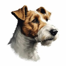 Designer Aufkleber / Sticker Hund Fox Terrier Porträt 01