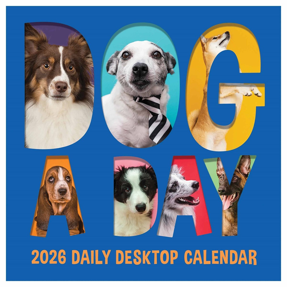 Dog A Day Desk Calendar 2026, Desk Calendars, Day To View, Dogs, Gift