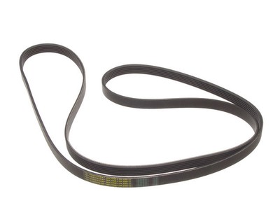 ContiTech 89ZG17W Primary Multi Rib Belt Fits 1992-1994 Audi 100 Quattro