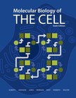 Molecular Biology of the Cell : The Problems Book John, Hunt, Tim