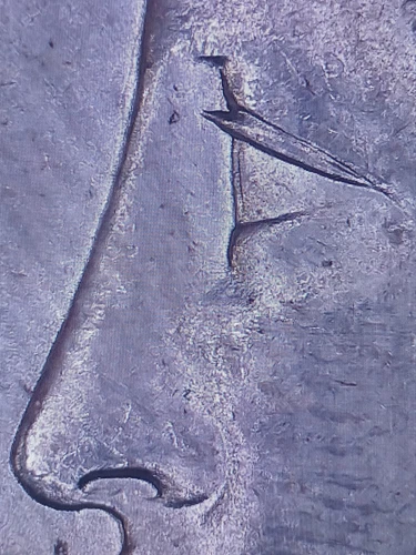 1887 NGC MS63 Top 100 VAM-12A DDO Gator & Clash Morgan Dollar