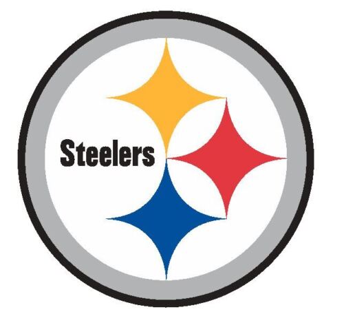 Pittsburgh Steelers NFL Football Sticker Decal S31 - Afbeelding 1 van 1