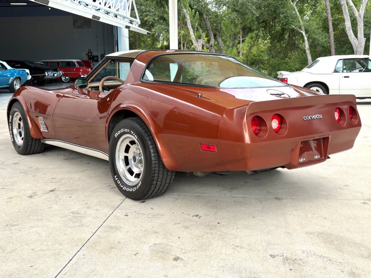 1981 Dark Bronze Metallic Chevrolet Corvette   | C3 Corvette Photo 9