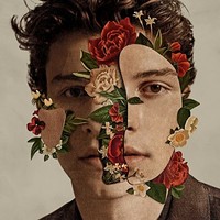 Mendes Shawn - Shawn Mendes - Cd - F2Z