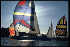 007062 Three Spinnakers A4 Photo Print