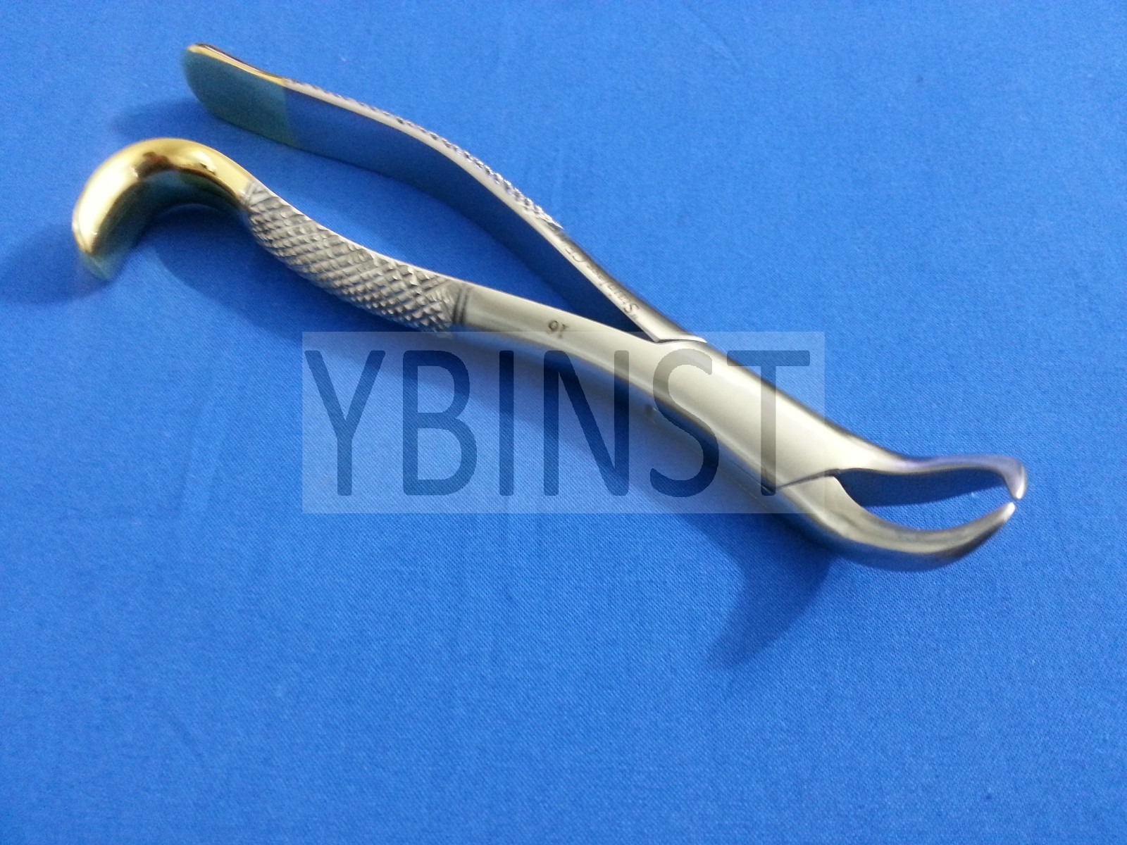 GOLD HANDLE HIGH GRADE COW HORN LOWER MOLAR DENTAL TOOTH EXTRACTING