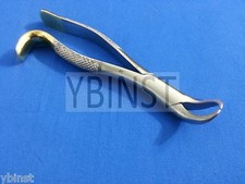 GOLD HANDLE HIGH GRADE COW HORN LOWER MOLAR DENTAL TOOTH EXTRACTING FORCEPS 16