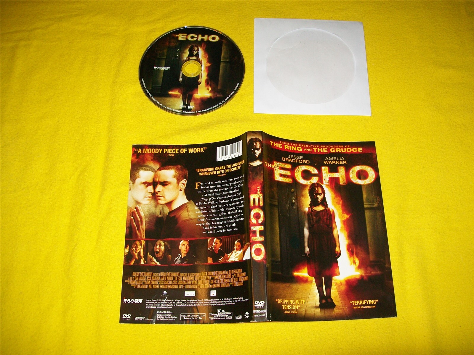 THE ECHO DVD DISC AND BACKER ONLY NO CASE JESSE BRADFORD AMELIA WARNER