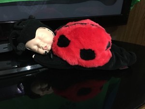 anne geddes baby ladybug