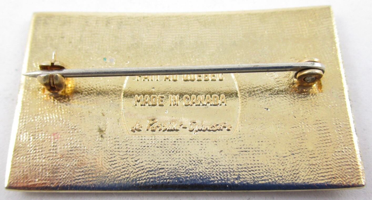 UNIQUE DE PASSILLE SYLVESTRE CANADA MODERNIST ENAMEL PIN Falak Tayyeb