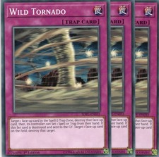 yugioh 3x Wild Tornado SDPL-EN032 COMMON 1AUFLAGE ENGLISCH