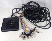 XLR Stage Box Snake 24 Channel - 24 XLR Sends & 4 XLR Returns