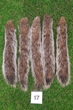 5 x Genuine Grey Squirrel tails No 17