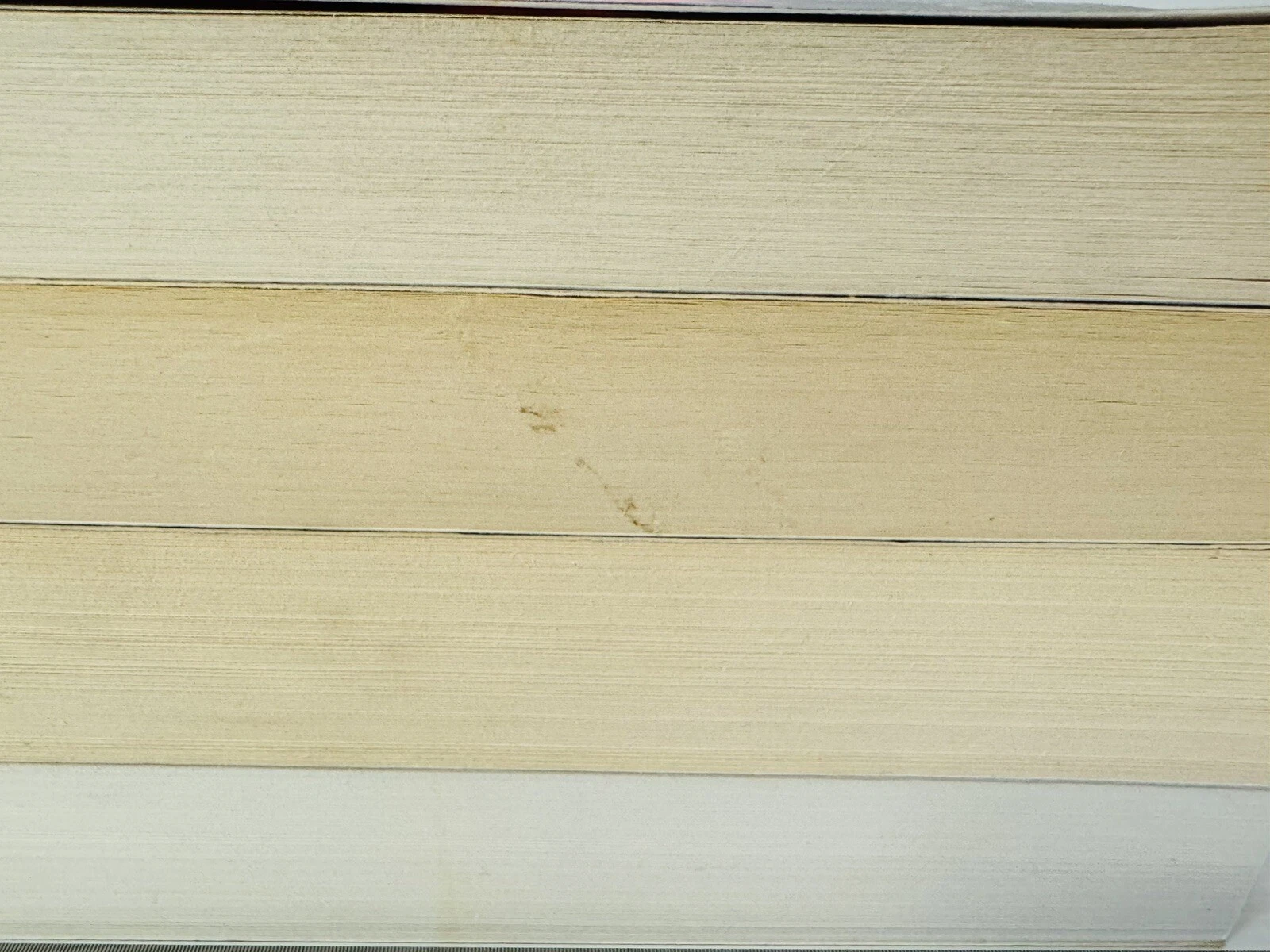 Picture 10 of 24