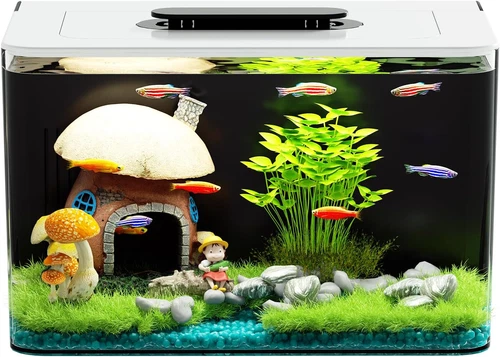 2.5 Gallon Betta Fish Tank Kit with Hidden Filtration, Light & Lid
