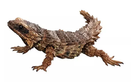 Mini Figure Armadillo Lizard (Dark Brown) 