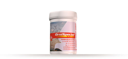 Orni Special Extra von Belgica de Weerd - Bild 2 von 3