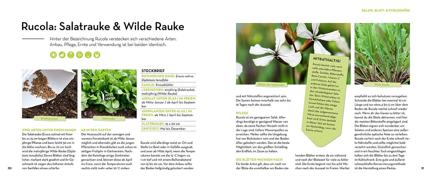 Thumbnail - Otmar Diez Was Mache Ich Wann Gemüsegarten?