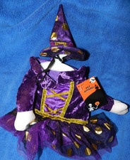 Dog Halloween purple witch w/ gold trim  hat Size S back length up to 12"