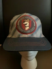 New with Tags NWT Secret Life of Pets Max Snapback Hat OSFM