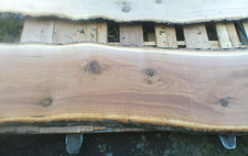 Oak Live Edge Slabs Milled Kiln Dry Various Sizes 1.75-2inches Thick SHIPs FREE