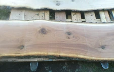 Oak Live Edge Slabs Milled Kiln Dry Various Sizes 1.75-2inches Thick SHIPs FREE!