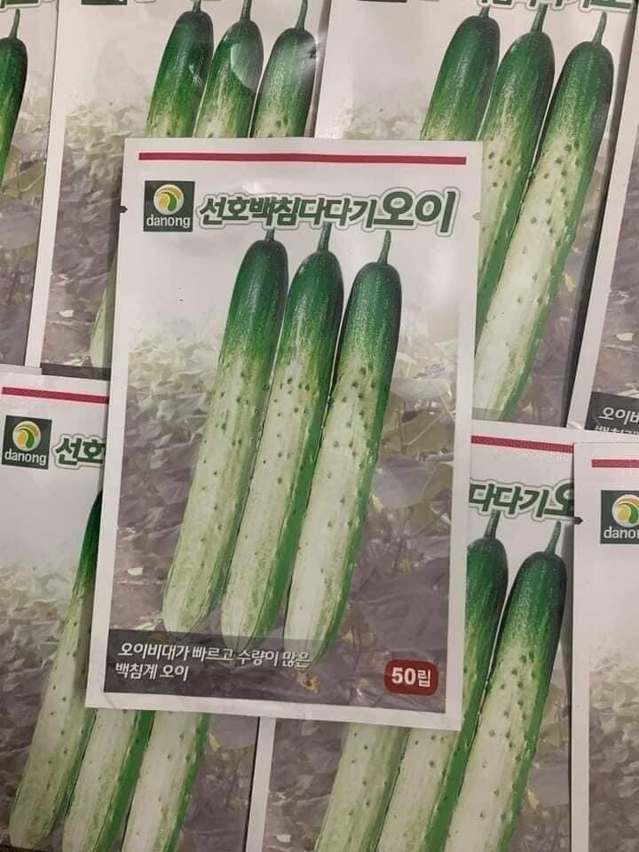 10+ seeds Korean Asian White /Green Sweet Crispy Cucumber Dua Leo