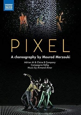 Pixel - DVD - G4z