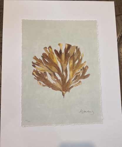 TROWBRIDGE Gallery Albertus Seba Limited Edition Coral Print Signed 90/295
