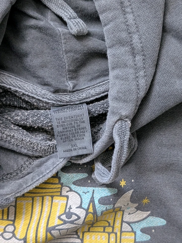 Phish Band 1995 复古麦迪逊广场花园除夕连帽衫 3XL — 第 3/3 张图片