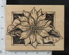 Picture 20 of 21