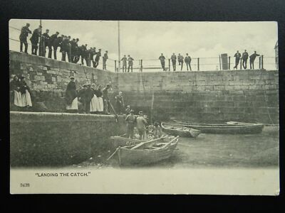 Cornwall Hafen Szene FISCHER LANDEN DEN FANG um 1903 UB Postkarte
