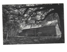 General Store - Gainsville, Florida Postcard ...