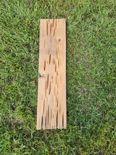 Sinker Peckey Cypress Taxidermy DIY Craft Project Wood App 53"×9.5"×1"