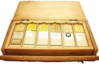 24 Antique Microphotograph Slides Boxed. By J.B.Dancer and John Stovin
