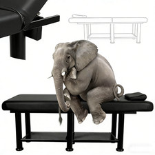 31.5"Massage Table w/Adjustable Backrest,1150LBS Capacity Professional Lash Bed