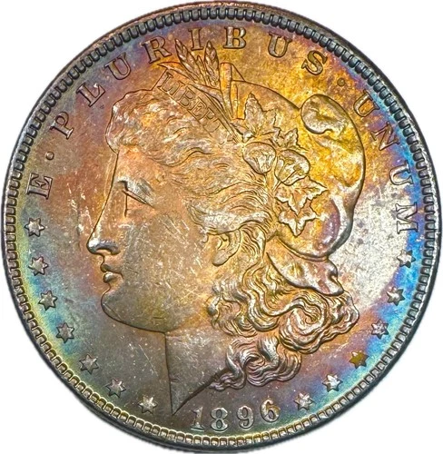 1896 MORGAN! FLAWLESS GEMBU++HUGE RAINBOW! STELLAR COLOR! UNREAL COIN! NR #64669