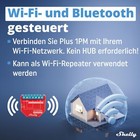 Bild 6 von 6