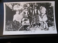 Postal de historia social - Tomando prestada la yegua gris (sin publicar)