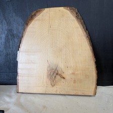 American Poplar Slab Live edge Planed 11x12x1" Lacquer Finish 1-side Edges