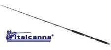 Italcanna RAISSA CF-20 12-20LB, canna da traina