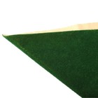 Foto 13 di 49