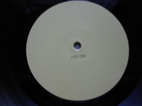 STEELY DAN "ROTOSCOPE DOWN" VERY SCARCE RARE LIVE UNOFFICIAL LP (1973 USA TOUR) - Picture 7 of 12