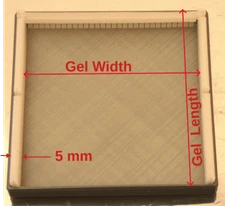 140 mm DNA Agarose Gel Comb Cast Box Horizontal Electrophoresis 12 Combs 2 Tray