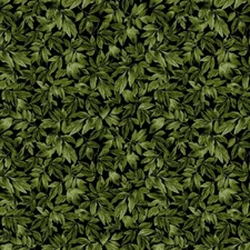 Michael Miller - Wisteria Lane - Wisteria Leaves - Juniper, Fabric BTY