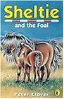 Sheltie 22: Sheltie and the Foal-Peter Clover
