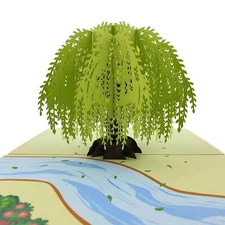 Willow Tree Pop Up Card