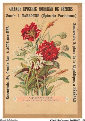 AXYP19-1531-CHROMOS - Large Modern Beziers Grocery Store - Verbena - Puree