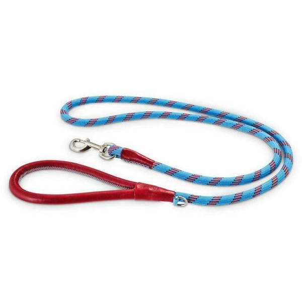 reddy leash